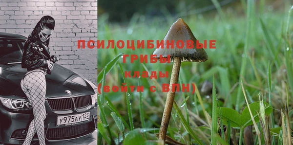 синтетический гашиш Надым