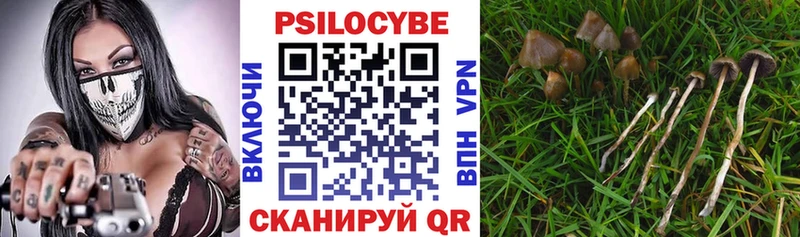 blacksprut зеркало  где найти   Черняховск  Псилоцибиновые грибы ЛСД 