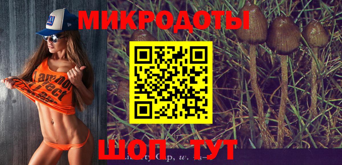 Псилоцибиновые грибы Cubensis  Вход с VPN  Псилоцибиновые грибы GOLDEN TEACHER  Черняховск 